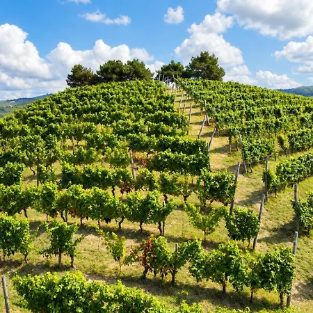 Martina's - Centro Di Nelle Langhe Appartamento *